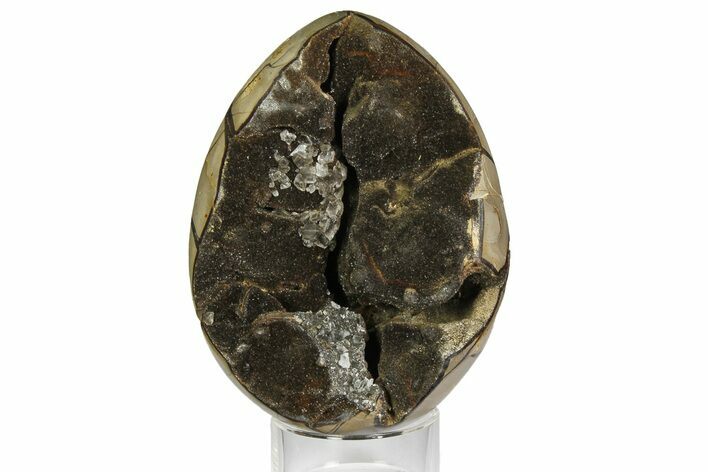 Septarian Dragon Egg Geode - Black Crystals #172805